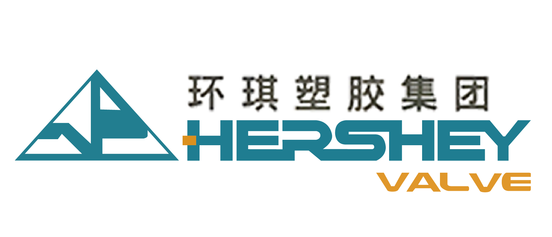 环琪